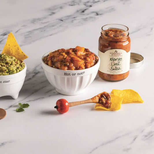 Salsa Bowl Gift Set