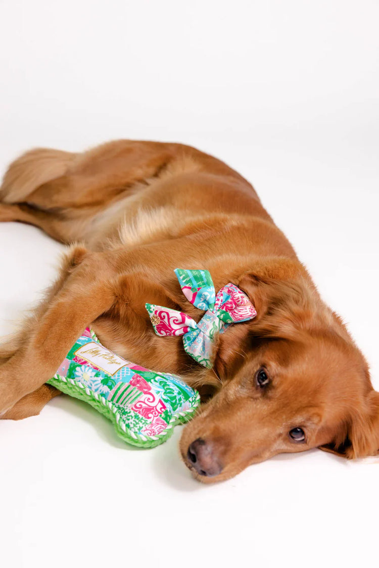 Pet Bow, Crazy Quilt Home