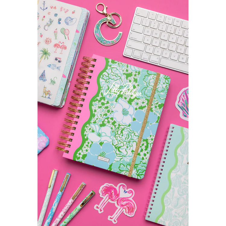 Large 17 Month Agenda, Mint Condition Burst of Joy