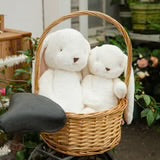 Little Floppy Nibble Bunny Cream