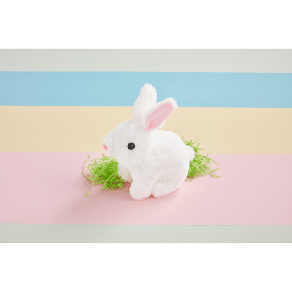 Hoppin’ Bunnies