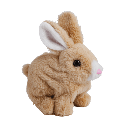 Hoppin’ Bunnies