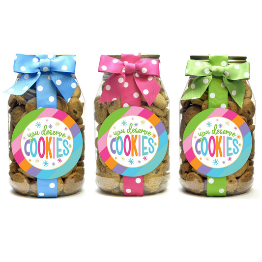 Cookie Jars - Bright Stripe You Deserve Cookies - Quart: Chocolate Chip