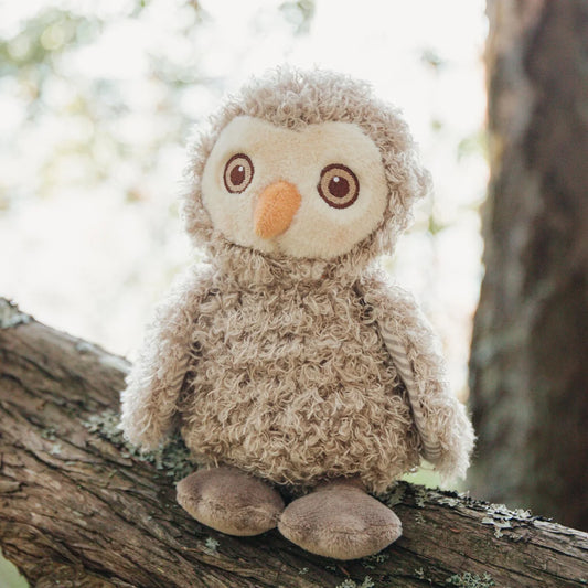 BLINK THE OWL