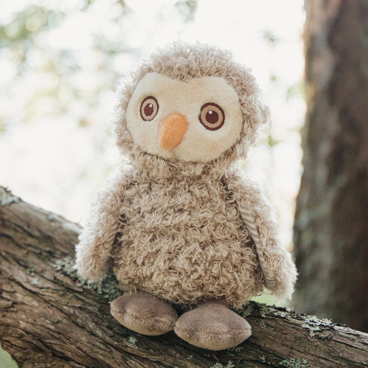 BLINK THE OWL