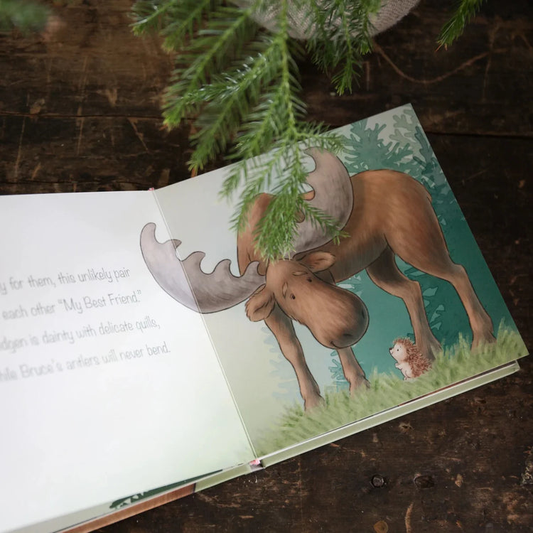 SMIDGEN AND BRUCE A BIG FRIENDSHIP - BOARD BOOK