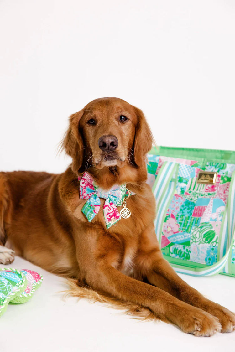 Pet Bow, Crazy Quilt Home