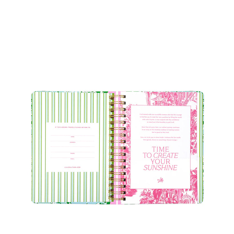 Large 17 Month Agenda, Mint Condition Burst of Joy