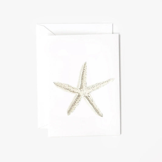 Starfish seaside mini enclosure notecard