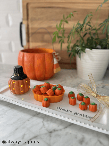 Accessories Tray