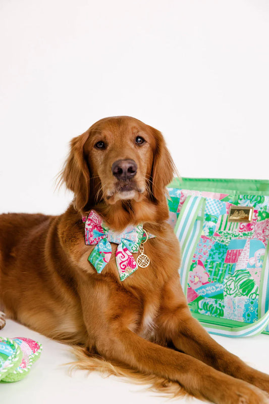 Pet Bow, Crazy Quilt Home