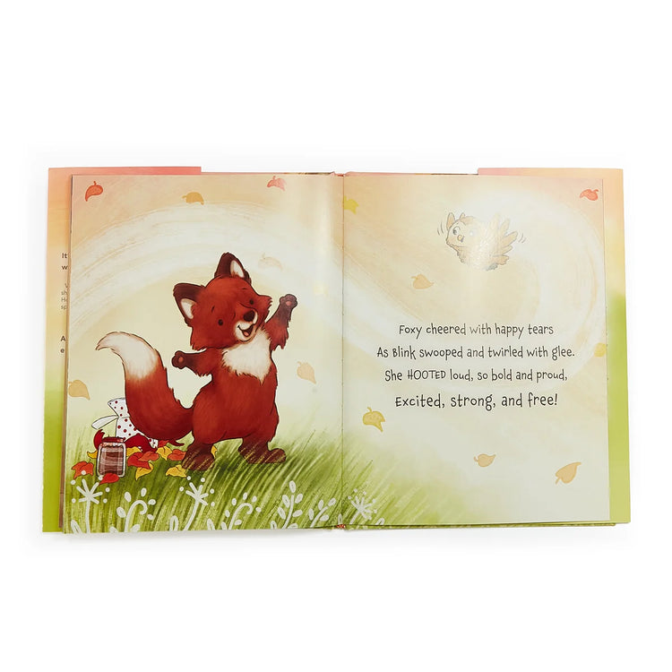 FOXY & BLINK FLYING LESSON STORY BOOK