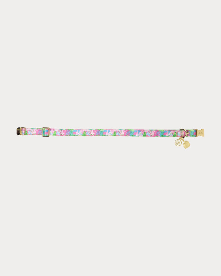 Dog Collar, Crazy Quilt Home (M/L)