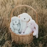Little Floppy Nibble Bunny Pink