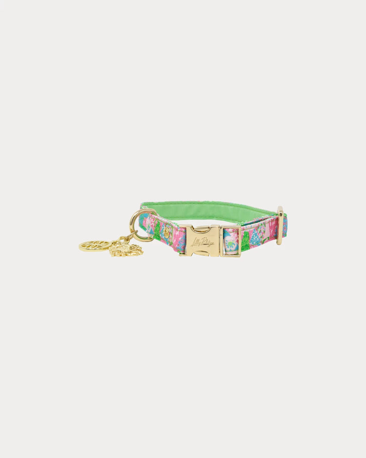 Dog Collar, Crazy Quilt Home (s/m)