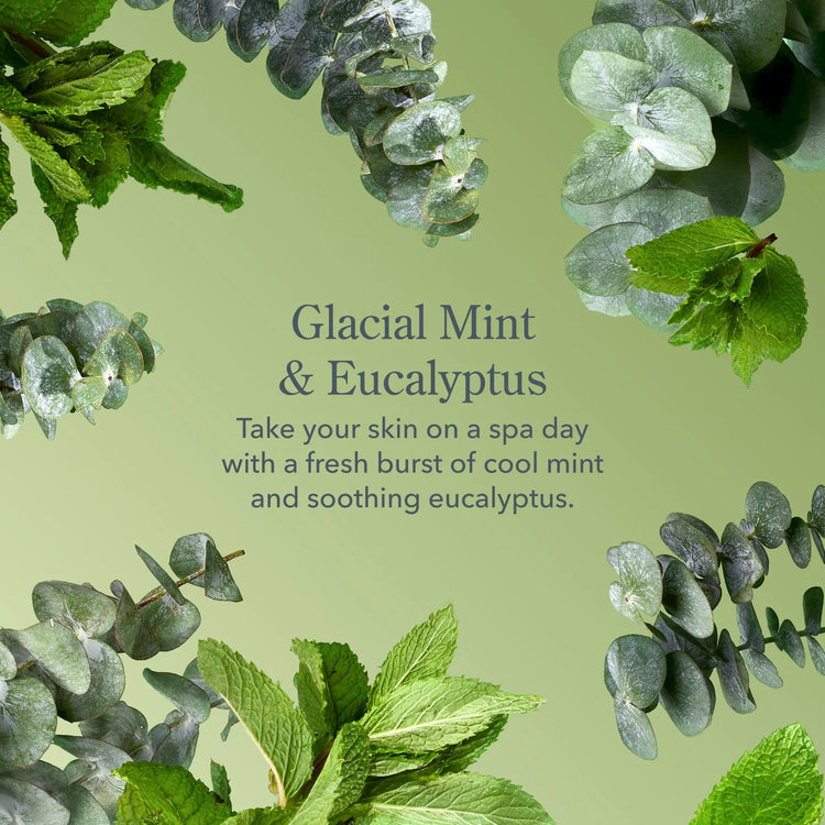 Glacial Mint & Eucalyptus Whipped Body Cream