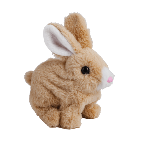 Hoppin’ Bunnies
