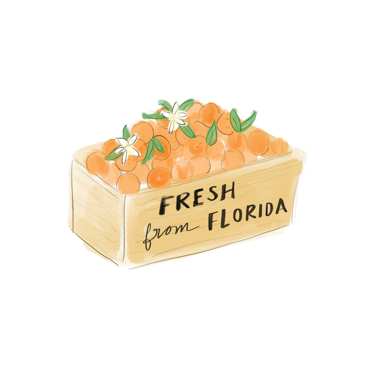 Fresh From Florida Sticker